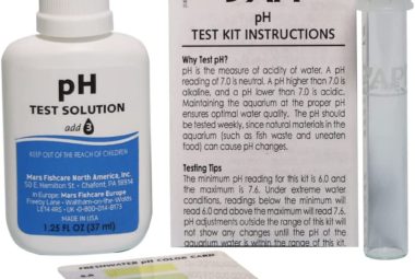 How to Raise pH in Aquarium Featured Image